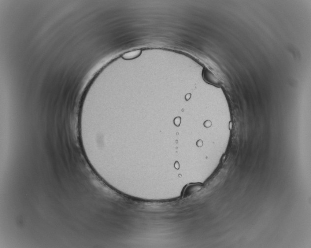 X0000112770904200910011234