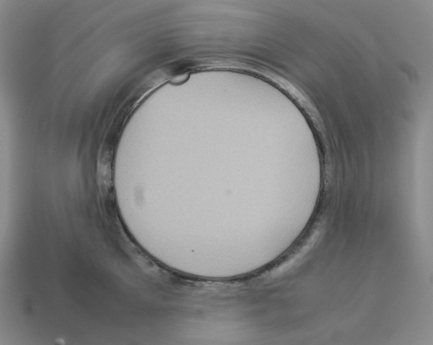 X0000112770905200910011234