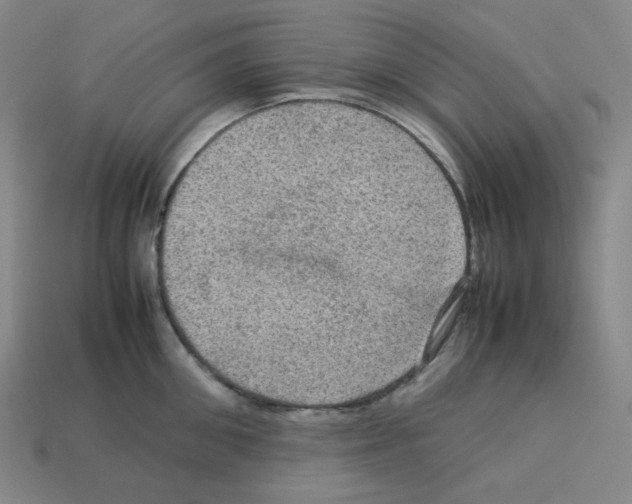 X0000112770906200910011234