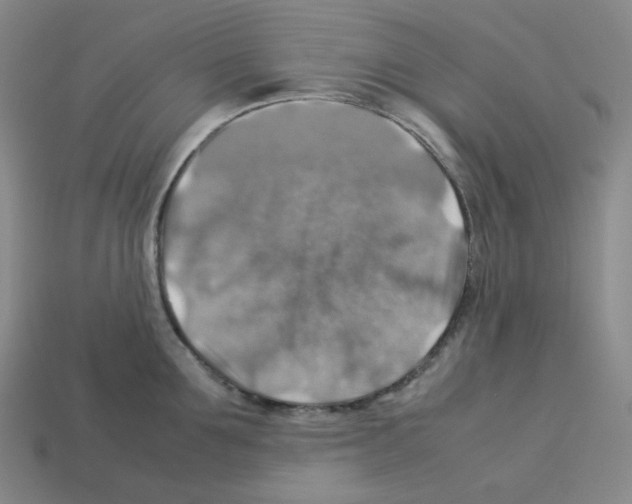 X0000112770907200910011234