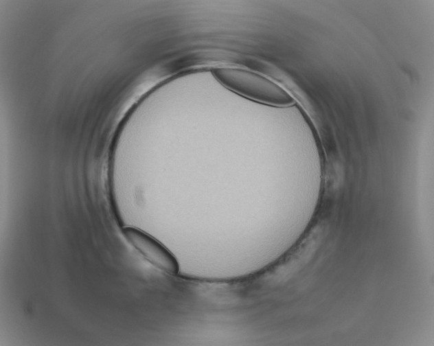 X0000112770909200910011234