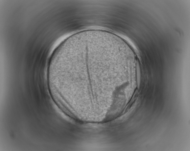 X0000112770910200910011234