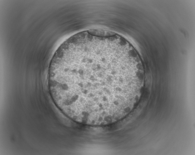 X0000112770911200910011234