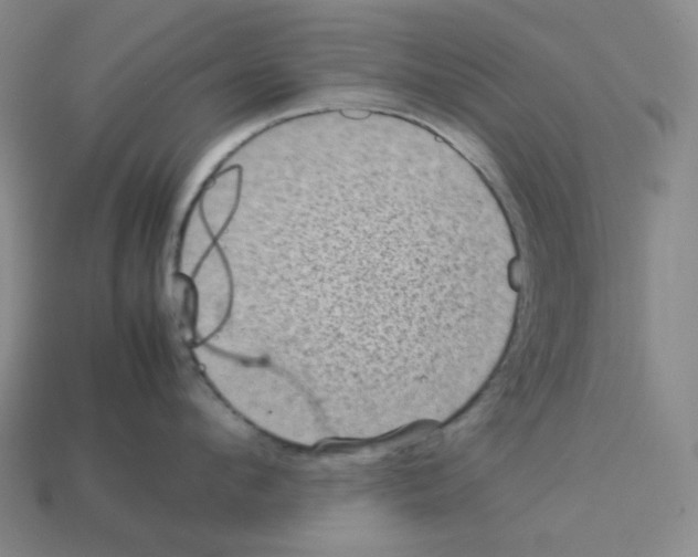 X0000112770912200910011234