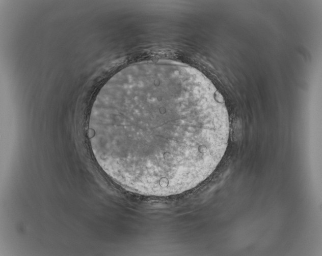 X0000112770913200910011233