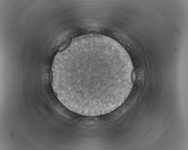 X0000112770916200910011233