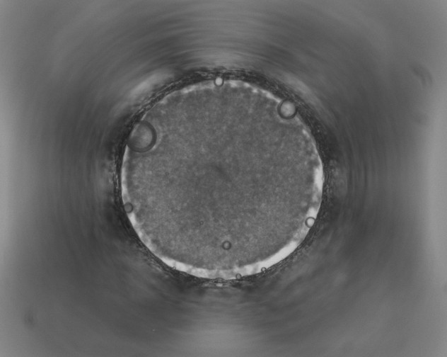 X0000112770918200910011233