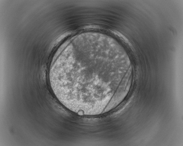 X0000112770921200910011233