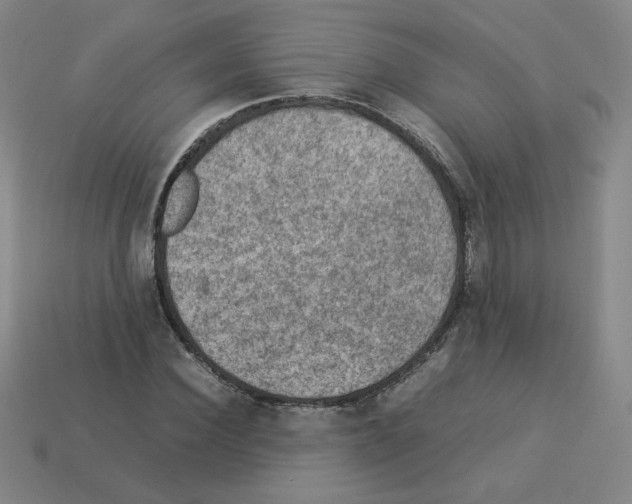 X0000112770924200910011233