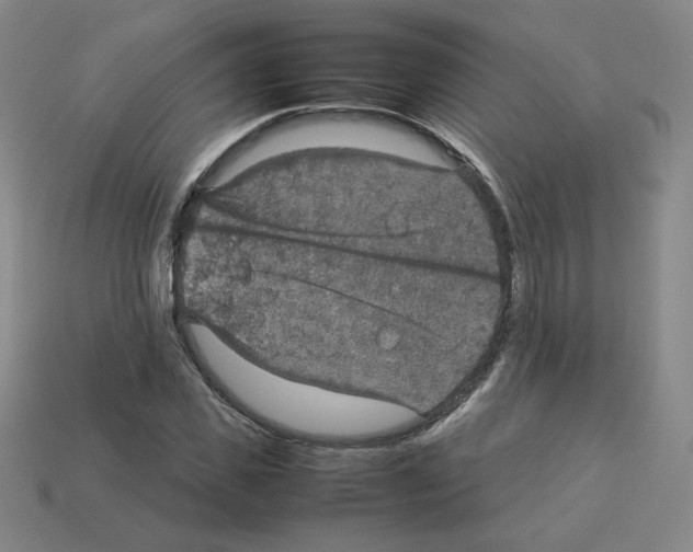 X0000112770925200910011233