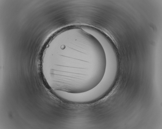 X0000112770926200910011233