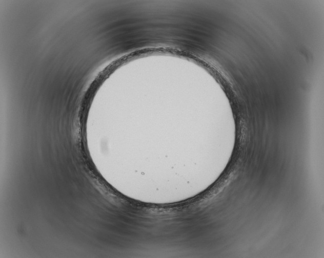 X0000112770927200910011233