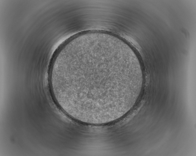 X0000112770928200910011233