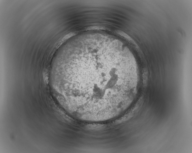 X0000112770929200910011233