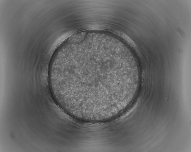 X0000112770930200910011233