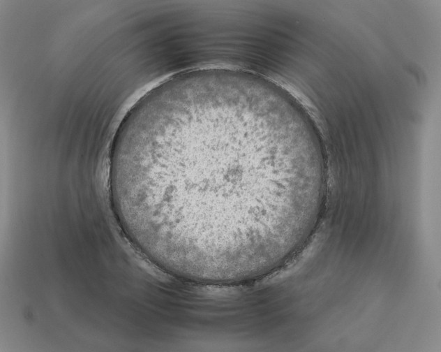 X0000112770933200910011233