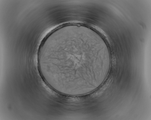 X0000112770935200910011233