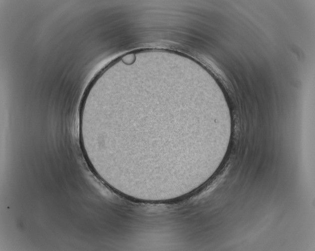 X0000112770940200910011233