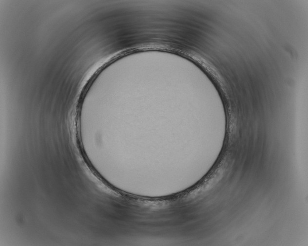 X0000112770941200910011233