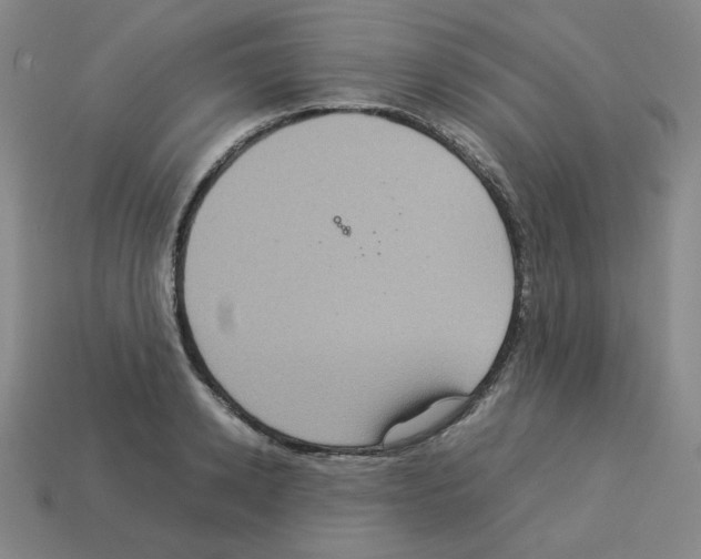 X0000112770942200910011233