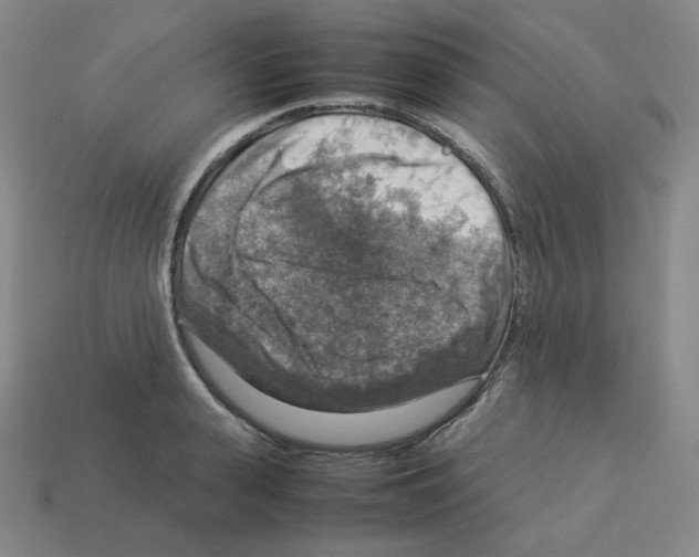 X0000112770943200910011233