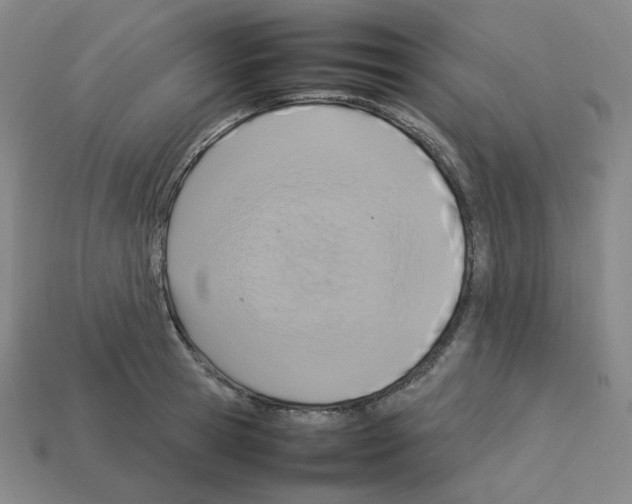 X0000112770945200910011233