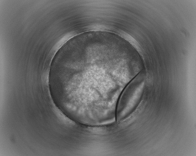 X0000112770946200910011233