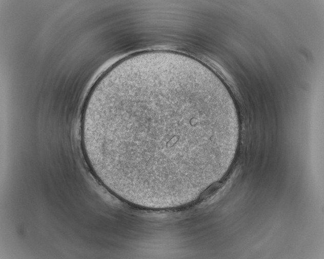 X0000112770948200910011233