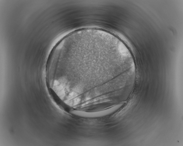 X0000112770951200910011233