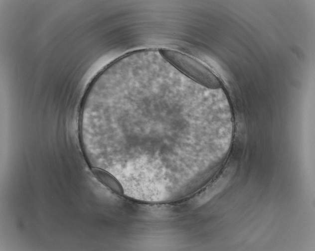 X0000112770952200910011233