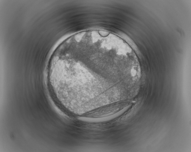 X0000112770955200910011234