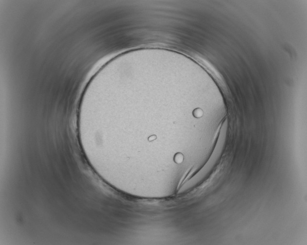 X0000112770956200910011234