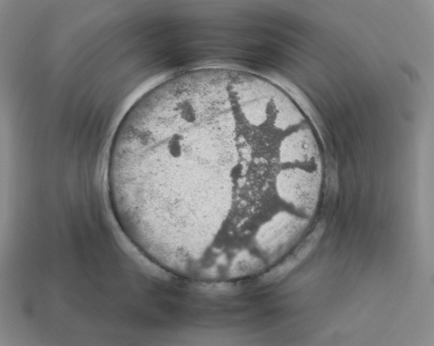 X0000112770957200910011234