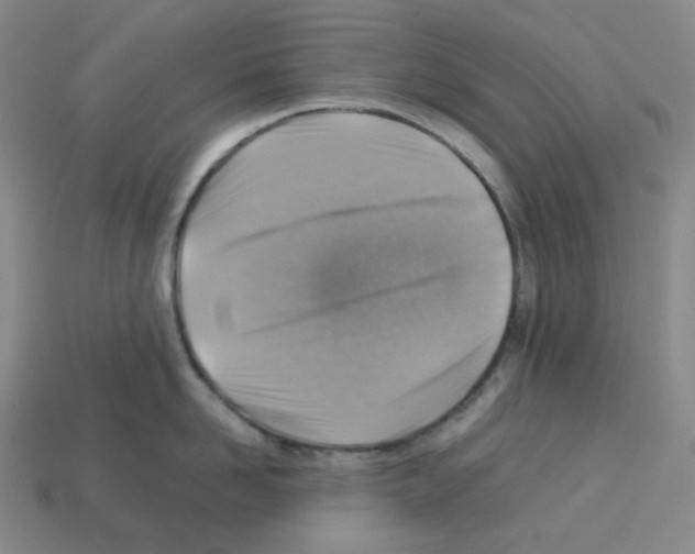 X0000112770958200910011234