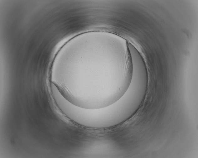 X0000112770960200910011234