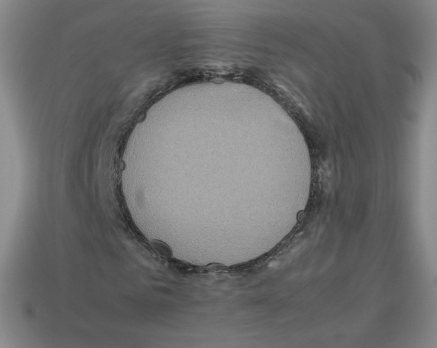 X0000112770961200910011233