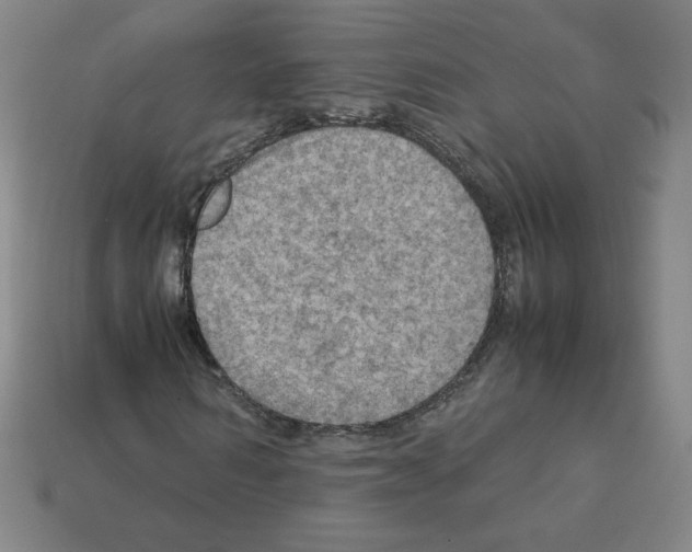 X0000112770962200910011233