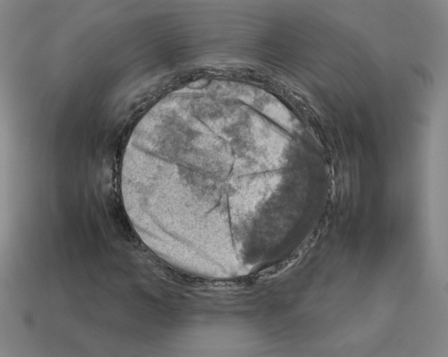 X0000112770966200910011233