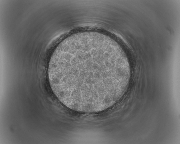 X0000112770967200910011233