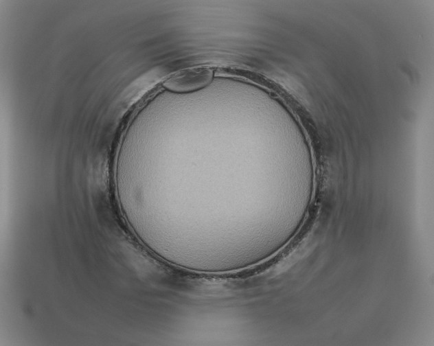 X0000112770969200910011233