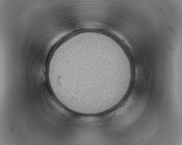 X0000112770970200910011233