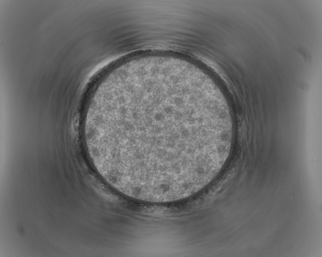 X0000112770971200910011233