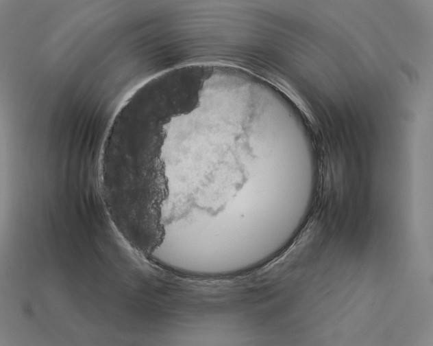 X0000112770972200910011233