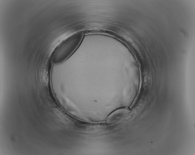 X0000112770973200910011233