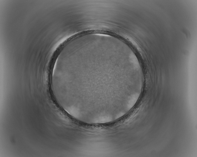 X0000112770975200910011233