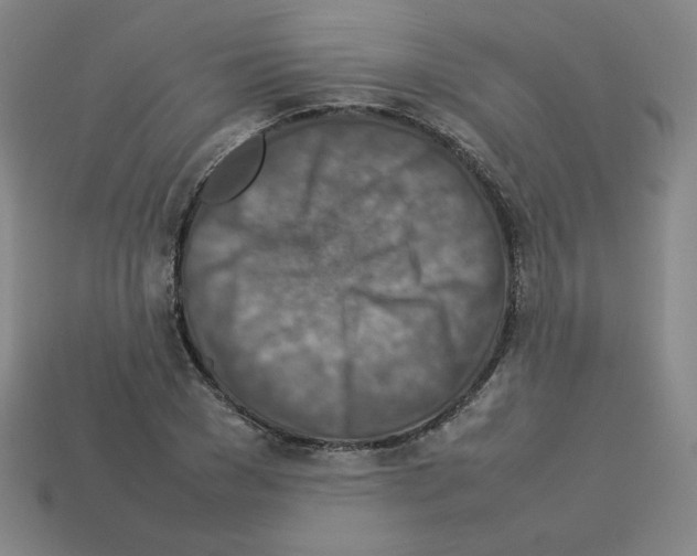 X0000112770977200910011233