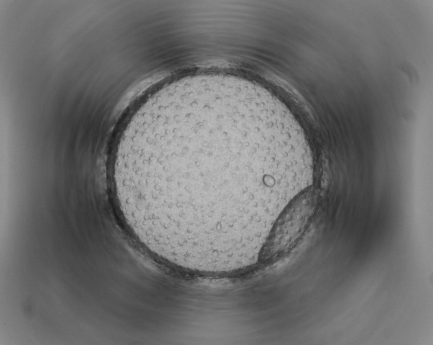 X0000112770978200910011233