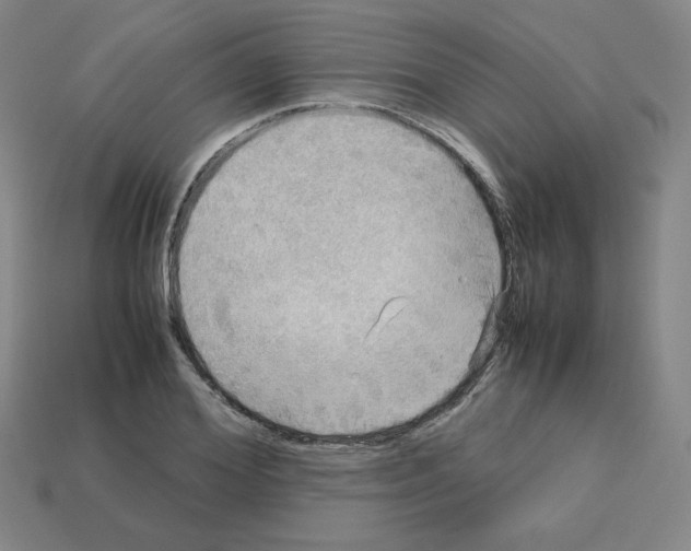 X0000112770980200910011233