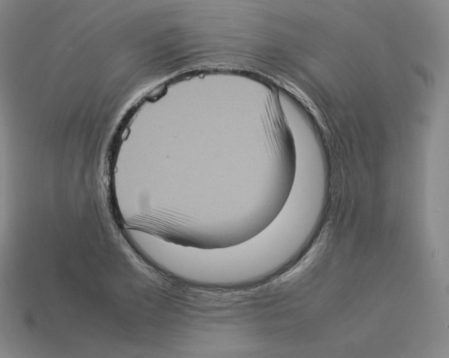 X0000112770981200910011233