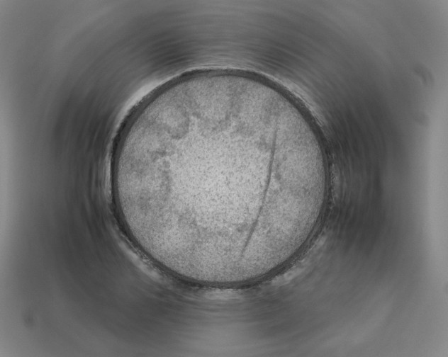 X0000112770982200910011233